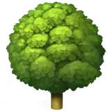 Lush green tree with full foliage, symbolizing growth and protection for family prayer